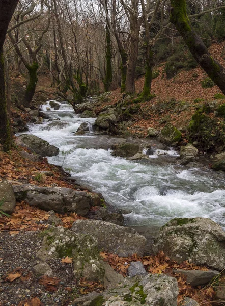エヴィア ギリシャの島の Dirfys 山の原生林の水をオフに山岳急速な川 — ストック写真