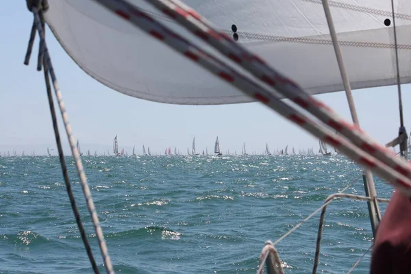Sailing boats at sea during the round the Island Race — Stock Photo, Image