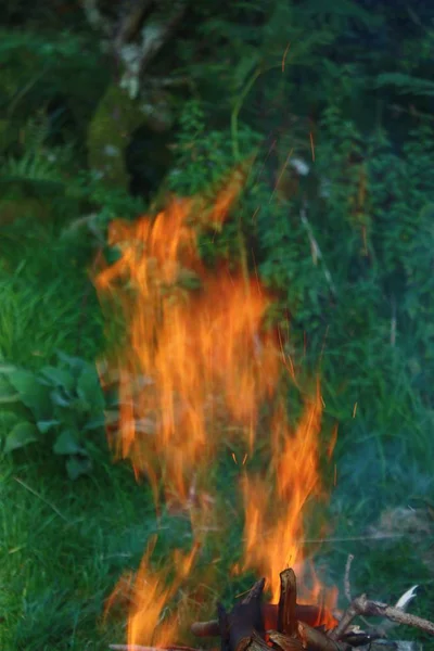 Jasně oranžové plameny v otevřeném ohni Stock Fotografie