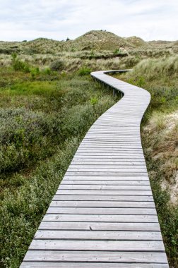 kavisli ahşap köprü