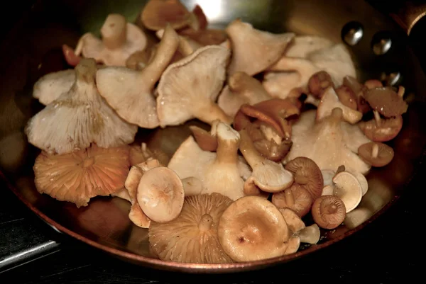 Mushrooms cooked in a copper pan.