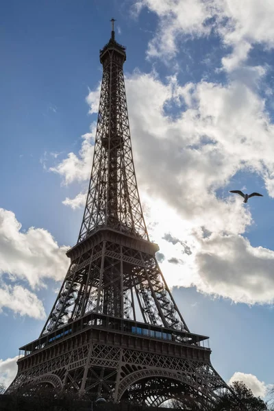 Tylne światło Tour Eiffel w Paryżu Zdjęcie Stockowe