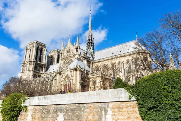 Ludzie, patrząc od tyłu, katedry Notre Dame w Paryżu Zdjęcie Stockowe
