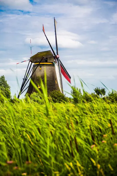 Stary wiatrak z zielonej trawy w Holandii — Zdjęcie stockowe