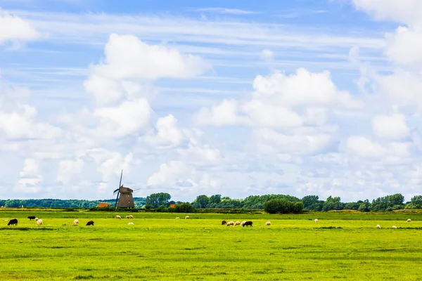 Krajobraz kraju Holland — Zdjęcie stockowe