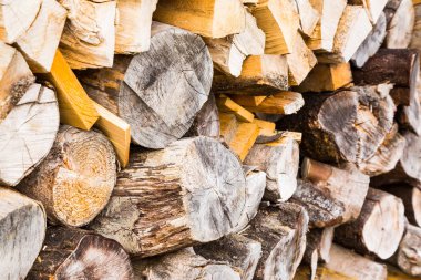 Sol yan tarafından kaba şort woodpile