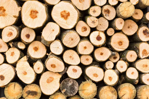 Woodpile szorstki pni rundy przez przodu Obrazy Stockowe bez tantiem