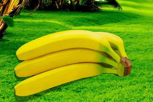 Banano fruta naturaleza tropical aislado amarillo fondo — Foto de Stock