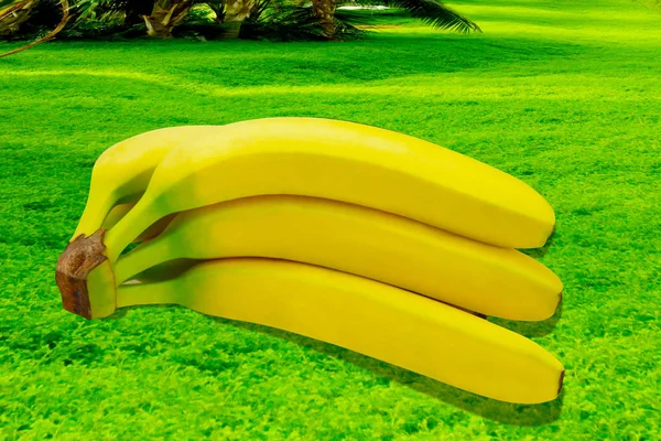 Banano fruta naturaleza tropical aislado amarillo fondo — Foto de Stock