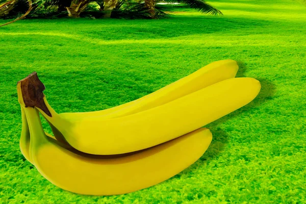 Banano fruta naturaleza tropical aislado amarillo fondo —  Fotos de Stock