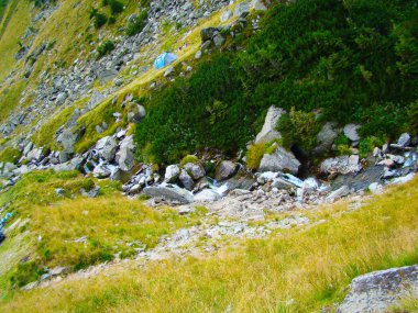 Ormanlar yeşil bulutlar doğa hills su