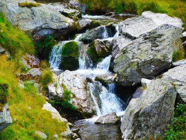 Ormanlar yeşil bulutlar doğa hills su