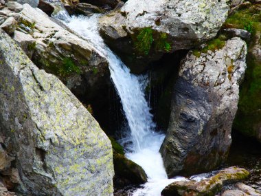 Ormanlar yeşil bulutlar doğa hills su