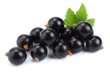 yeşil yaprak üzerinde beyaz izole Siyah frenk üzümü