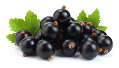 yeşil yaprak üzerinde beyaz izole Siyah frenk üzümü