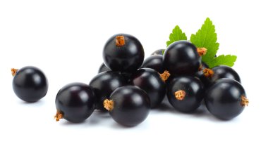 yeşil yaprak üzerinde beyaz izole Siyah frenk üzümü