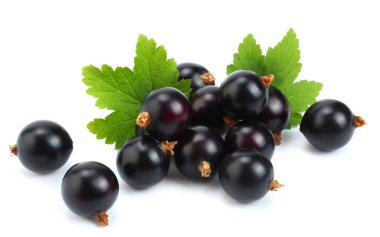 yeşil yaprak üzerinde beyaz izole Siyah frenk üzümü