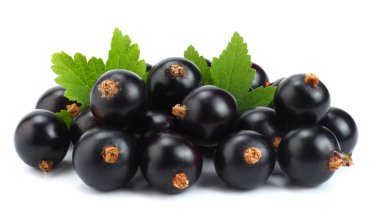 yeşil yaprak üzerinde beyaz izole Siyah frenk üzümü