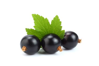 yeşil yaprak üzerinde beyaz izole Siyah frenk üzümü