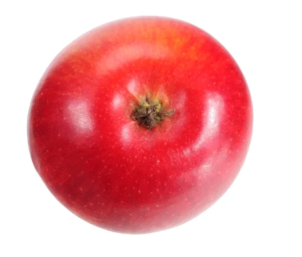 Une pomme rouge isolée sur fond blanc — Photo