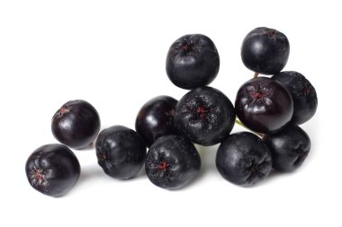 Chokeberry beyaz arka plan üzerinde izole. Siyah aronia 