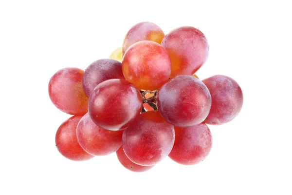 Сині ягоди винограду ізольовані на білому тлі. макрос — стокове фото