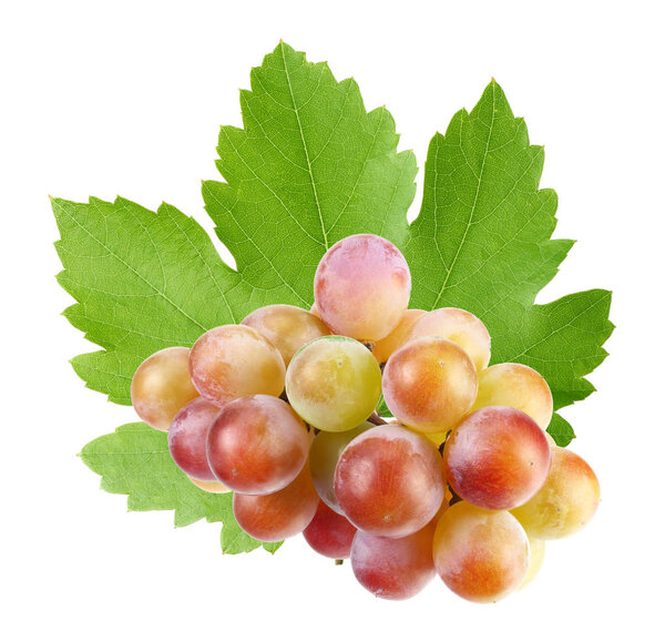 голубые ягоды с листьями, изолированными на белом
 