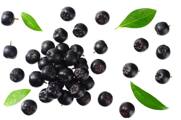 Chokeberry with green leaves isolated on white background. Black aronia. Top view. — Stock Photo, Image