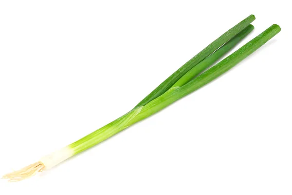 Зелена цибуля ізольована на білому тлі — стокове фото