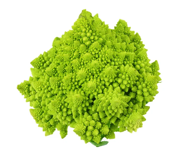 Romanesco broccoli isolerad på vit bakgrund. Blomkål. — Stockfoto