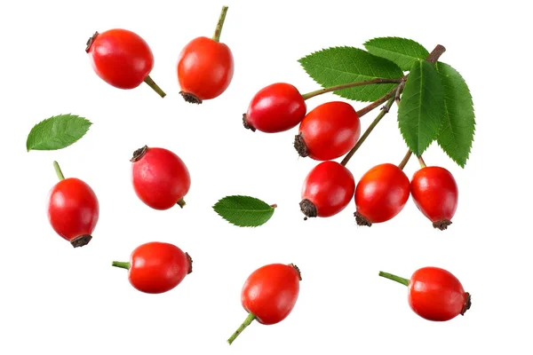 Beyaz arka planda yeşil yapraklı gül üzümü. Üst görünüm 