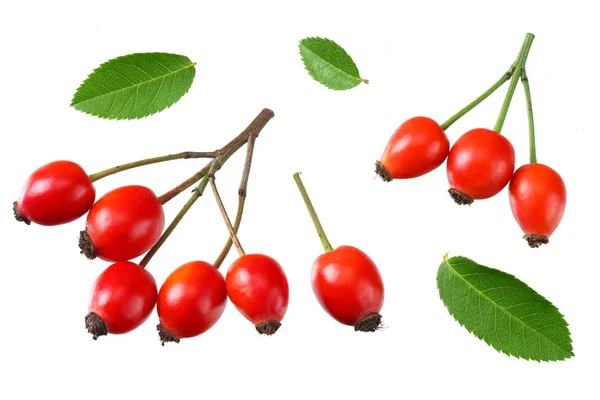 Red rowan berries with green leaf isolated on white background. top view — Stock Photo, Image