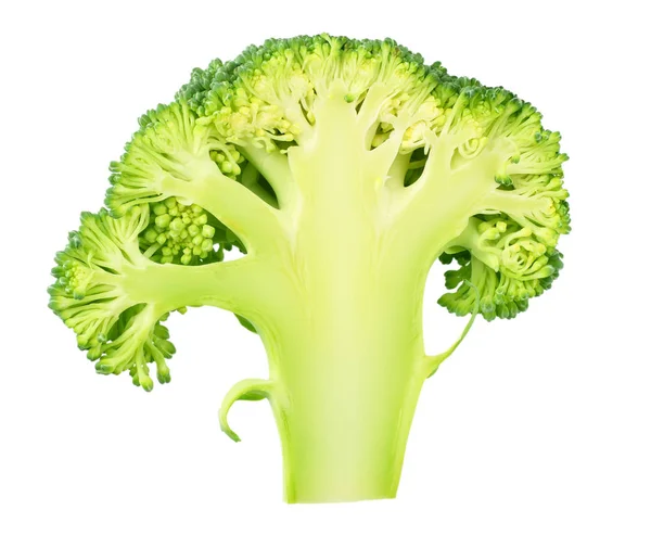 Beyaz arkaplanda izole edilmiş yeşil brokoli dilimi — Stok fotoğraf