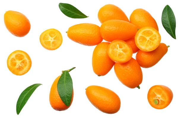 在白色背景上查出的叶子的 cumquat 或 kumquat。顶视图 — 图库照片