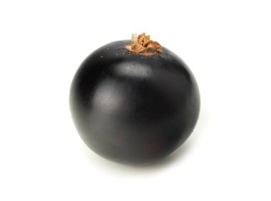 Beyaz arka planda tek bir siyah frenk üzümü var. makro 