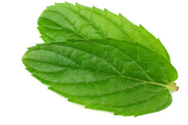 Beyaz arkaplanda izole edilmiş taze nane yaprakları 