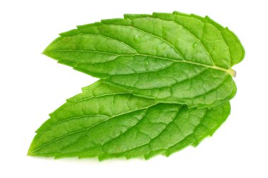 Beyaz arkaplanda izole edilmiş taze nane yaprakları 