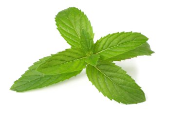 Beyaz arka planda izole edilmiş taze nane yaprakları. en üstteki görünüm 