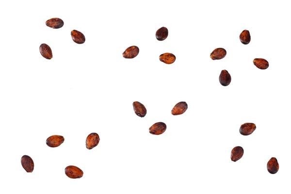 Melounové semínko izolované na bílém pozadí. pohled shora — Stock fotografie