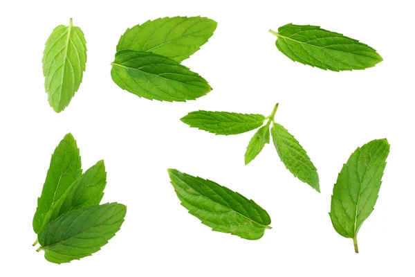 Fresh mint leaves isolated on white background. top view — Stock Photo, Image