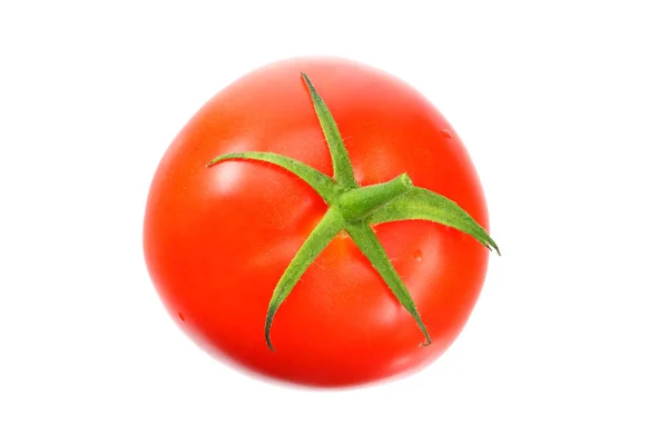 Μία φρέσκια ντομάτα απομονωμένη σε λευκό φόντο — Φωτογραφία Αρχείου