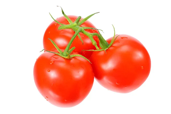 在白色背景上分离的新鲜西红柿枝条 — 图库照片