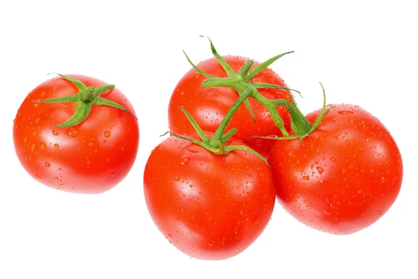Rama de tomates frescos aislados sobre fondo blanco — Foto de Stock