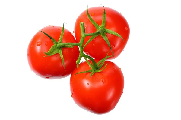 新鲜的西红柿在白色的背景上分离.顶部视图 — 图库照片