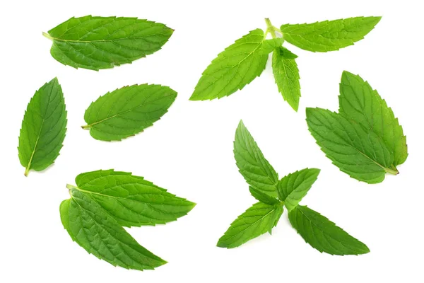 Fresh mint leaves isolated on white background — Stock Photo, Image