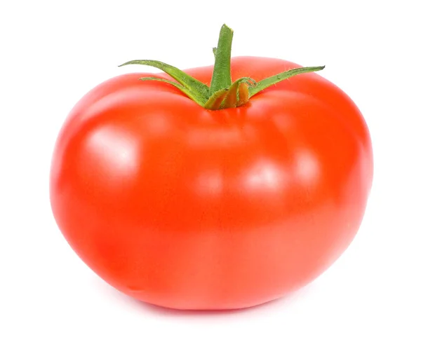 Solo tomate fresco aislado sobre fondo blanco —  Fotos de Stock