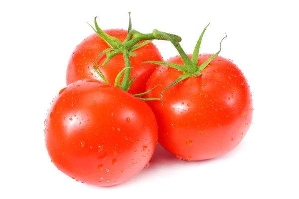 Färska tomater isolerad på en vit bakgrund — Stockfoto