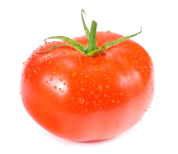 Single fresh tomato isolated on white background — Stock Photo, Image