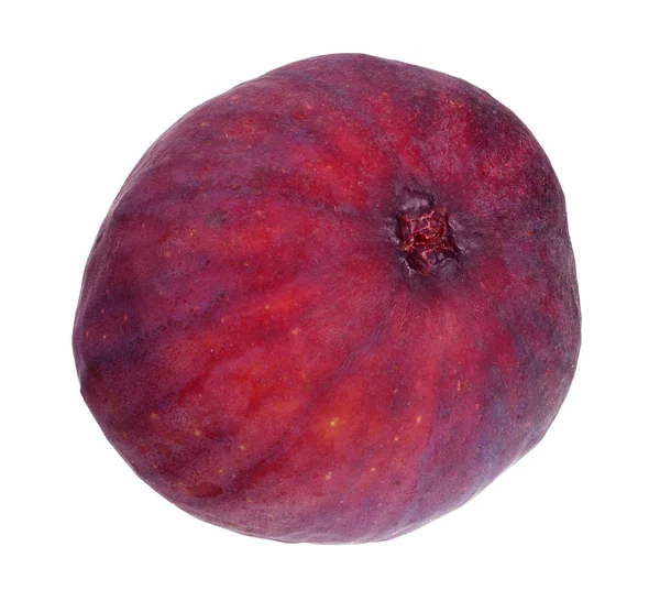 One fig fruit isolated on white background — Stock Photo, Image