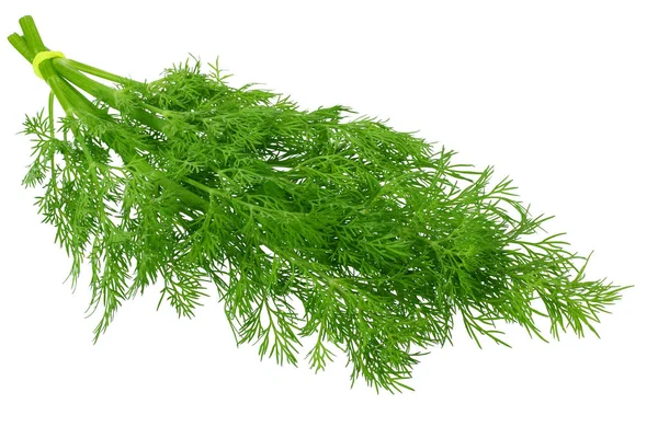 Bund frischer grüner Dill isoliert auf weißem Hintergrund — Stockfoto
